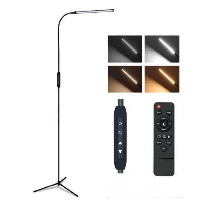 Remote Control Floor Lamp MY-X7313B