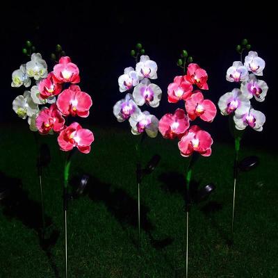 Led Solar Phalaenopsis